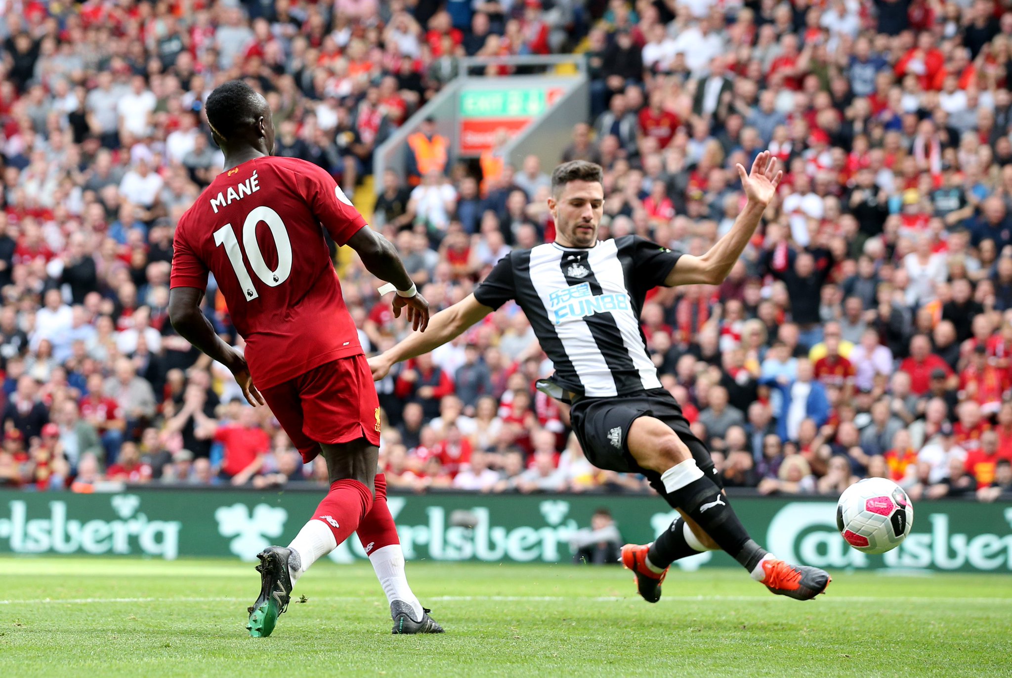 无疑是他们 无疑是他们