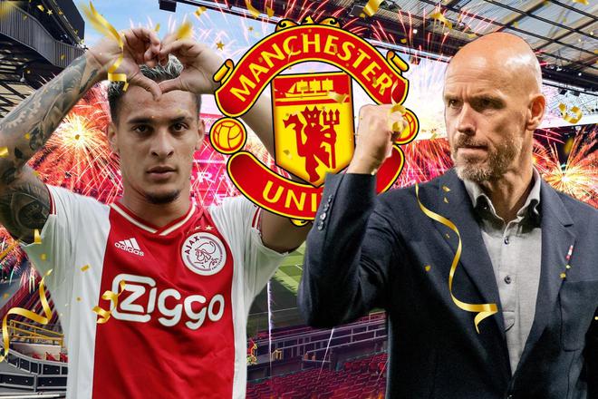 還迅速組織 還迅速組織