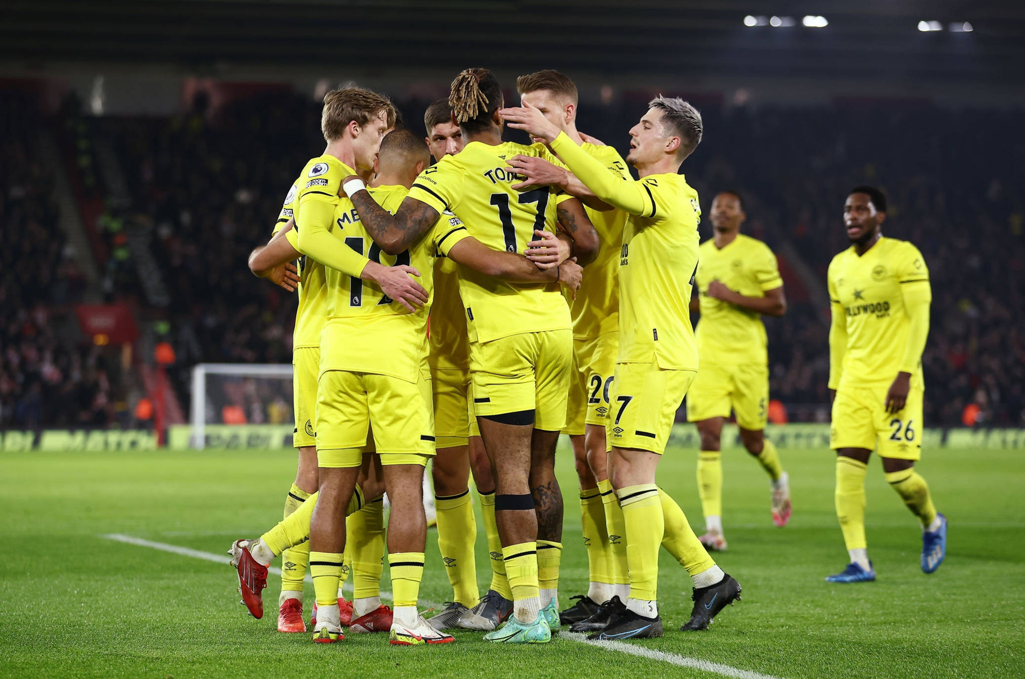 一个稳固的 一个稳固的